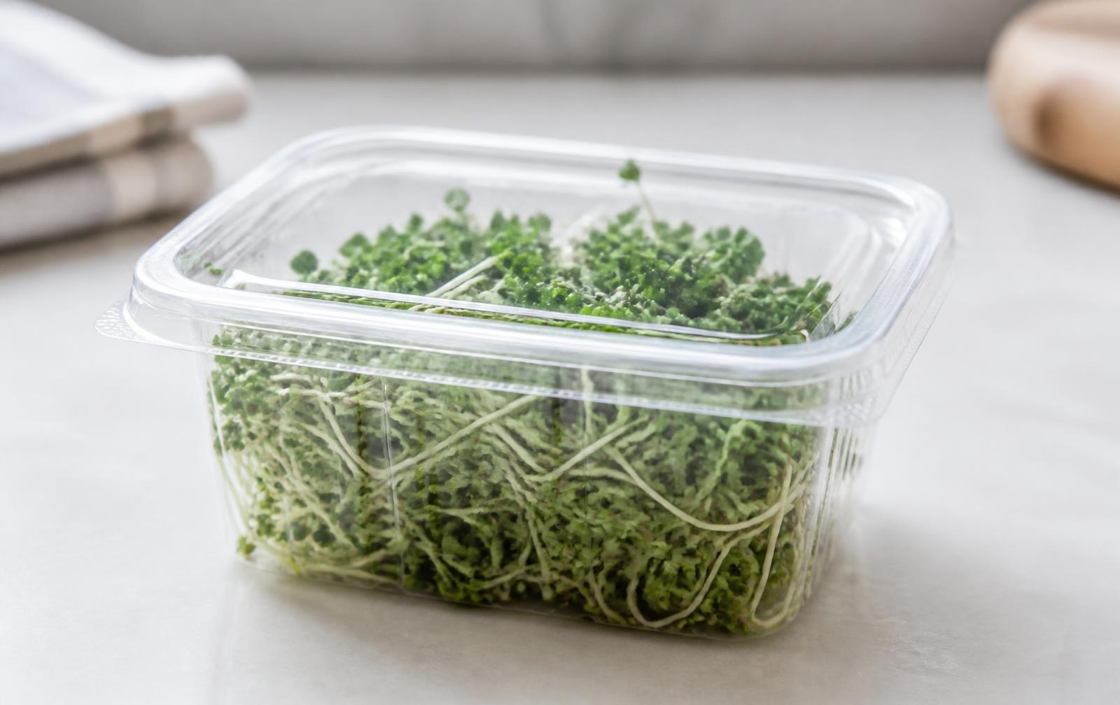 A clear plastic clamshell container of fresh raw broccoli sprouts on a pale kitchen counter